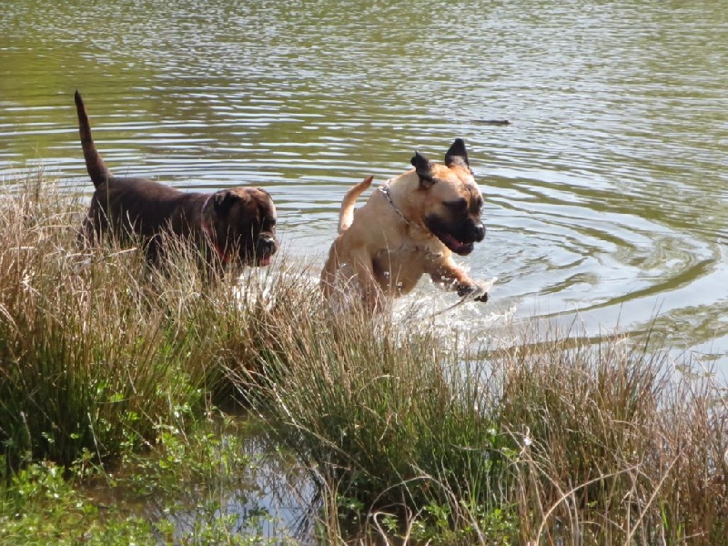 baignade avril 2015